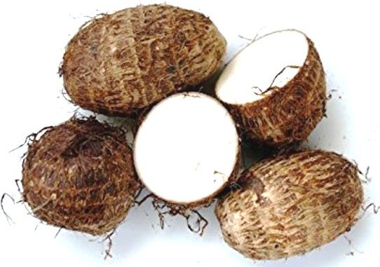 Taro...