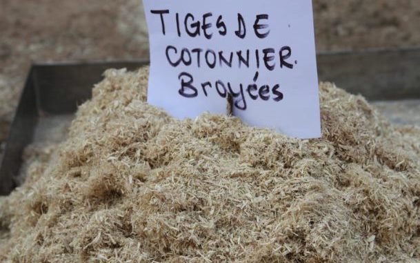 © Coraf, tiges de cotonniers broyéess ... un broyat de tiges de cotonniers qui sert pour fabriquer des meubles.....