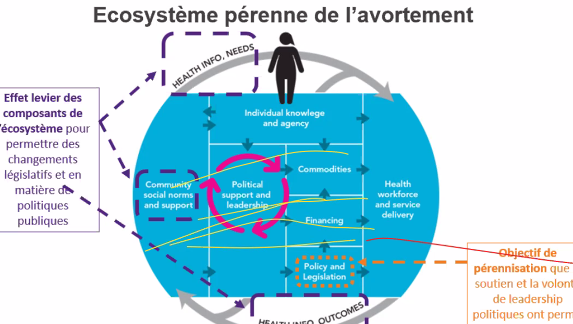 Ecosystème pérenne de l'avortement