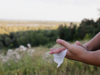 Une serviette antibactérienne