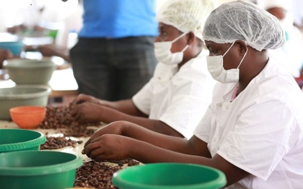 Cacao...