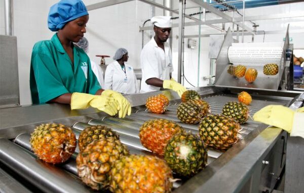 La transformation agricole