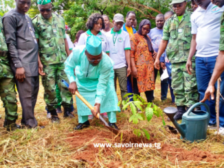Foli-Bazi Katari, ministre de l'environnement en train de planter un arbre pour marquer le lancement officiel de la campagne de reboisement national