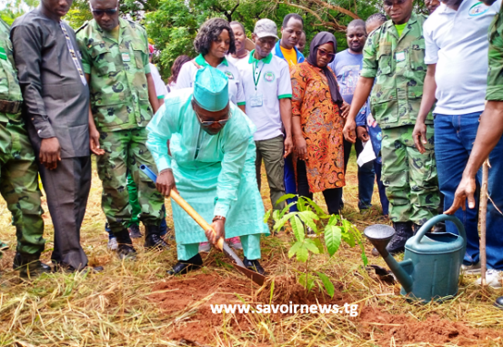 Foli-Bazi Katari, ministre de l'environnement en train de planter un arbre pour marquer le lancement officiel de la campagne de reboisement national