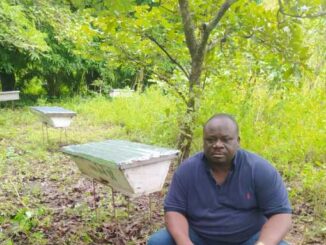 Tchabore Bouraima, journaliste et apiculteur: "Les abeilles pour moi, c'est toute une école"