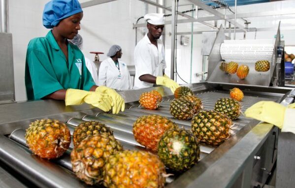 transformation agro-alimentaire