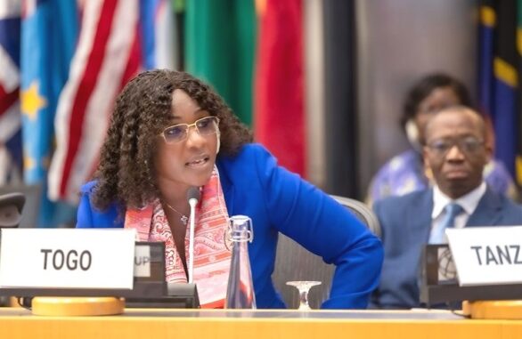 Dr Sandra Ablamba Johnson, lors de son intervention...