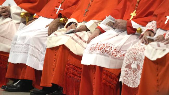 Des cardinaux..